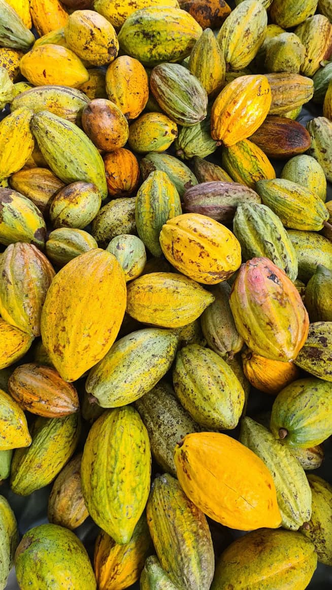 West Godavari, Andhra Pradesh